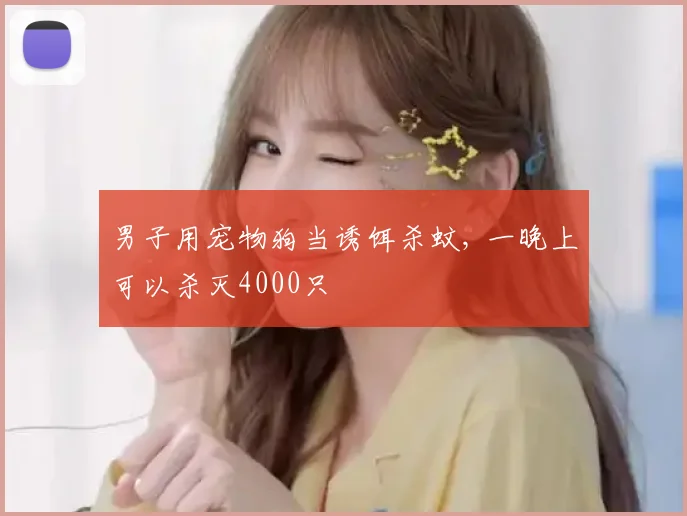 男子用宠物狗当诱饵杀蚊, 一晚上可以杀灭4000只