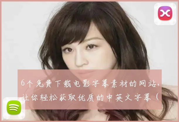 6个免费下载电影字幕素材的网站,让你轻松获取优质的中英文字幕 (3)
