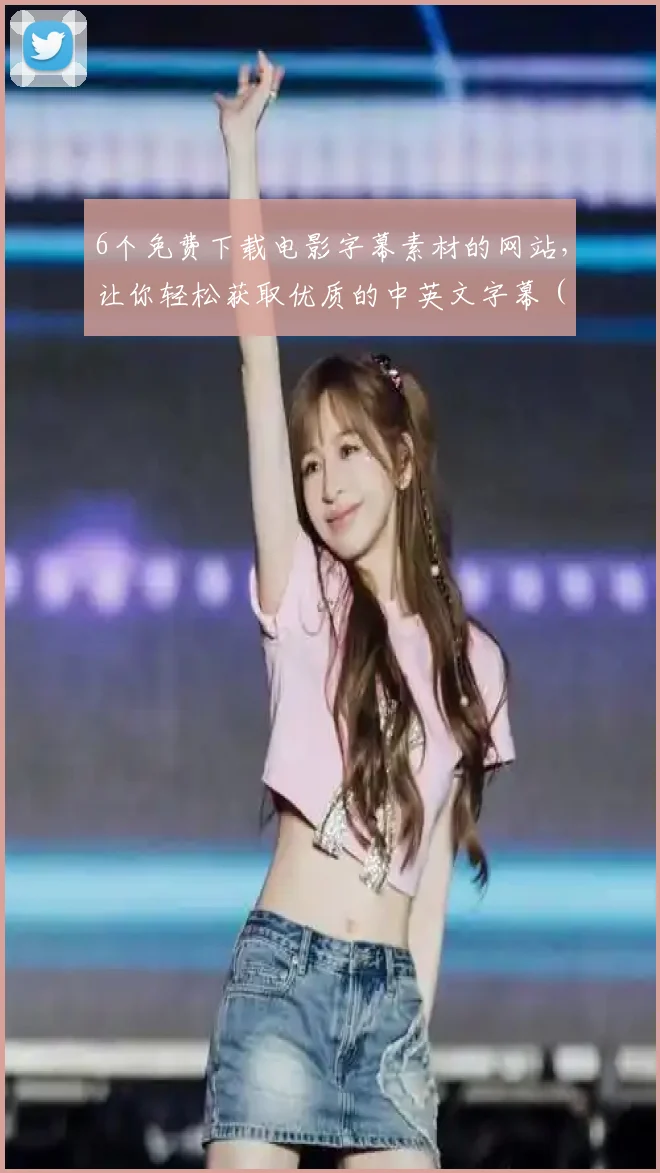 6个免费下载电影字幕素材的网站,让你轻松获取优质的中英文字幕 (3)