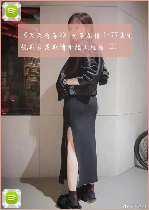 《天天有喜2》全集剧情 1-77集电视剧分集剧情介绍大结局 (2)