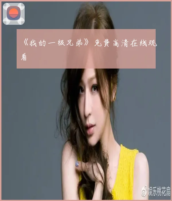 《我的一级兄弟》免费高清在线观看