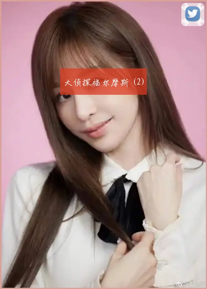 大侦探福尔摩斯 (2)