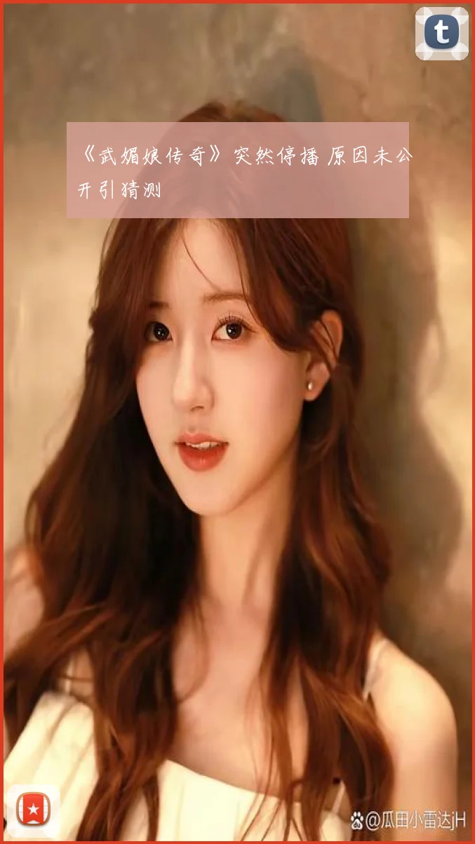 《武媚娘传奇》突然停播 原因未公开引猜测