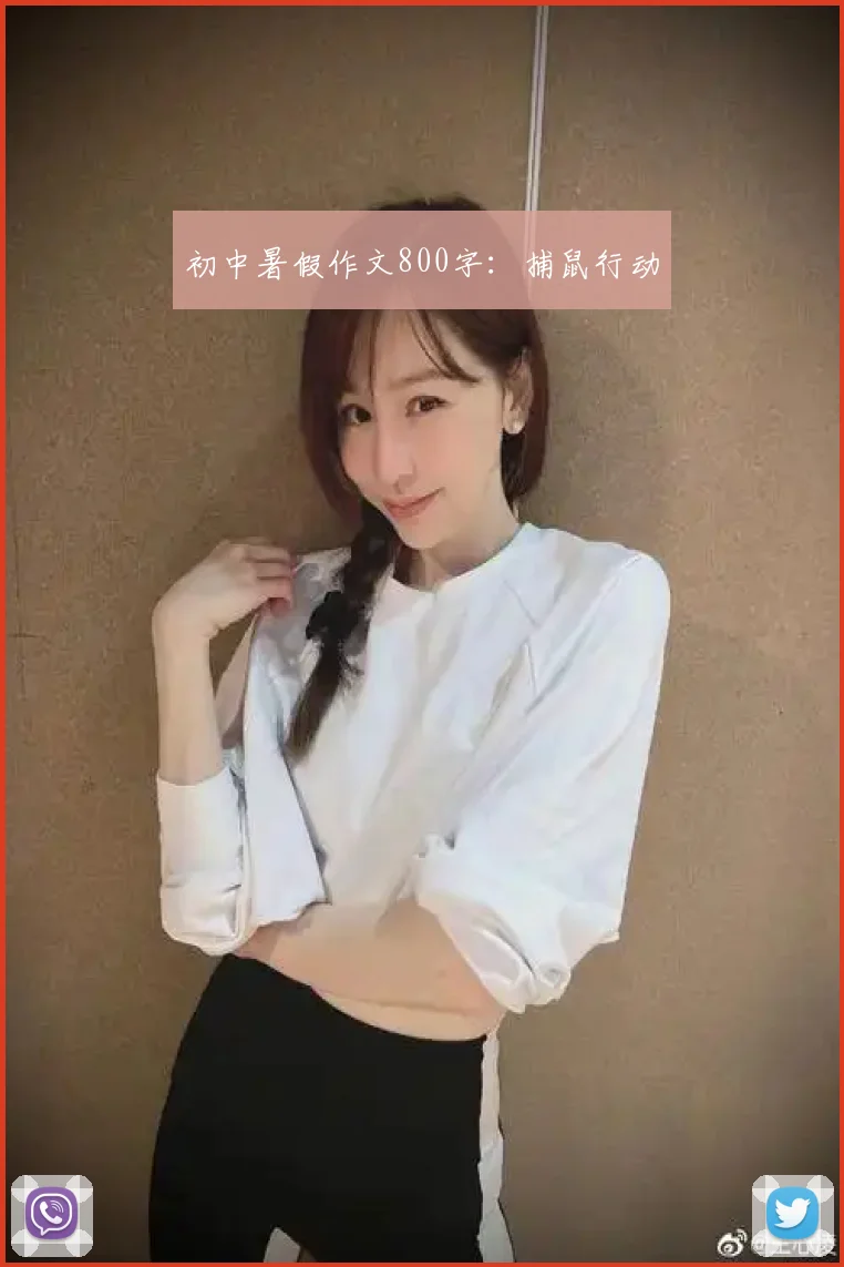 初中暑假作文800字：捕鼠行动