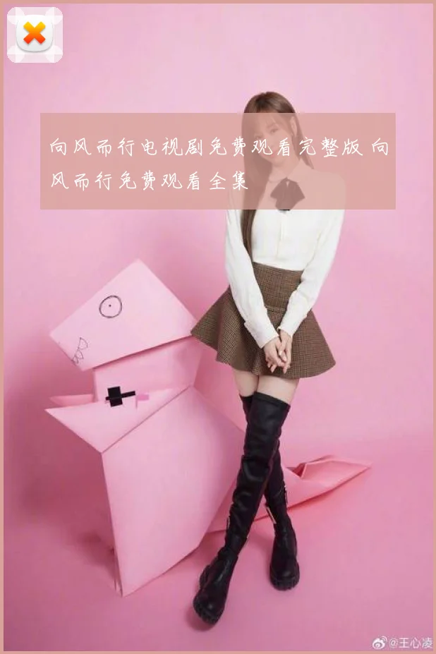 向风而行电视剧免费观看完整版 向风而行免费观看全集