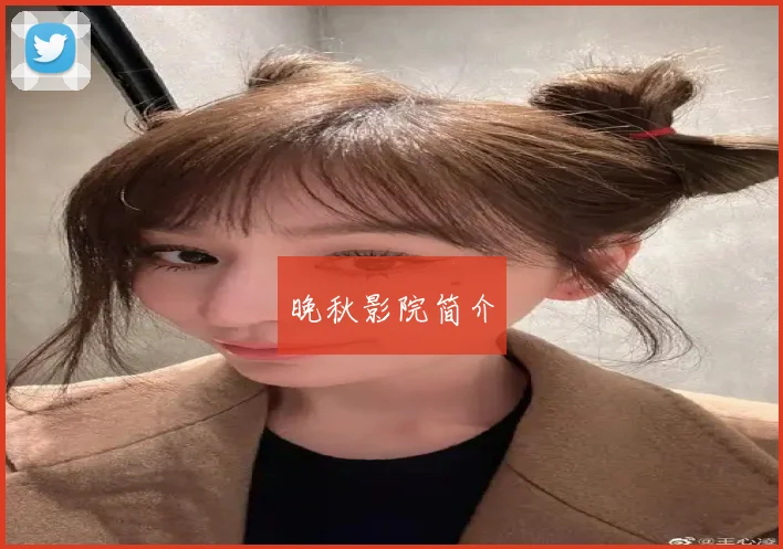 晚秋影院简介