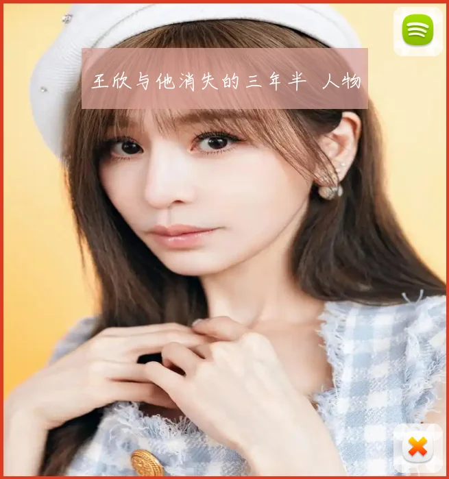 王欣与他消失的三年半 人物
