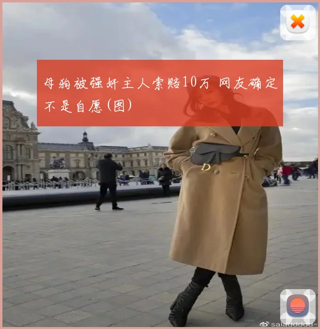 母狗被强奸主人索赔10万 网友确定不是自愿(图)