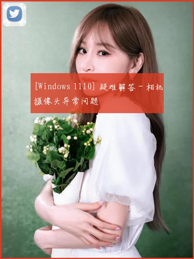 [Windows 1110] 疑难解答 - 相机摄像头异常问题