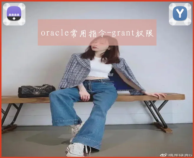 oracle常用指令-grant权限