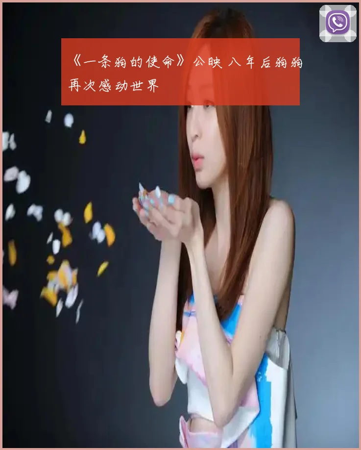 《一条狗的使命》公映 八年后狗狗再次感动世界