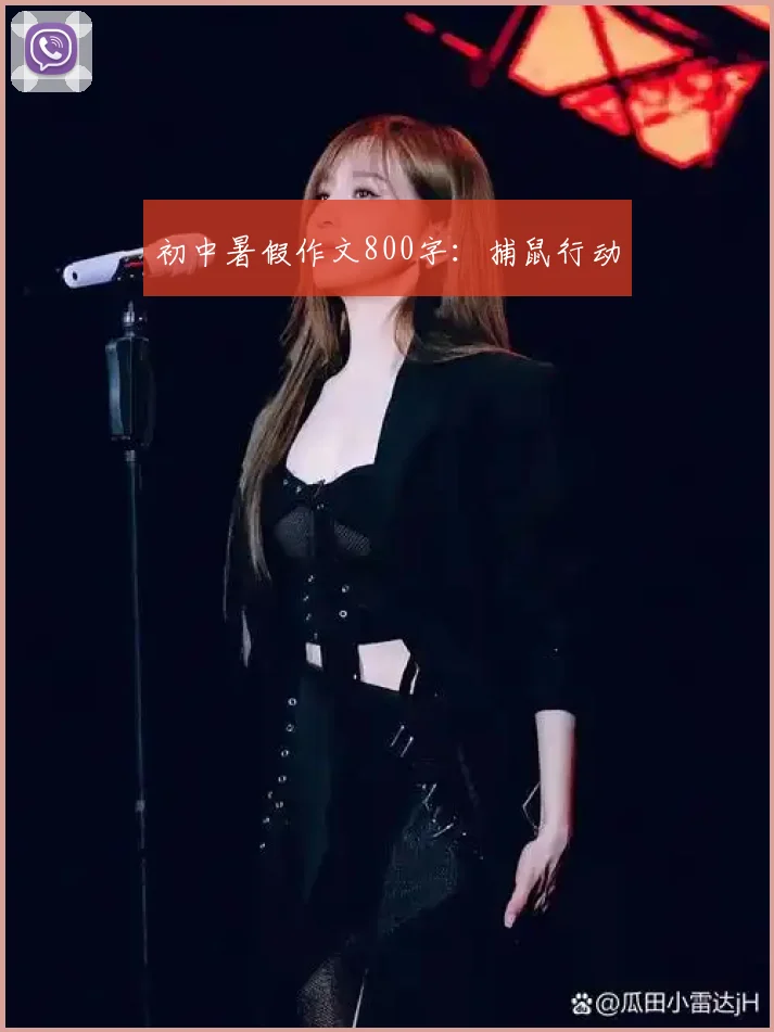 初中暑假作文800字：捕鼠行动