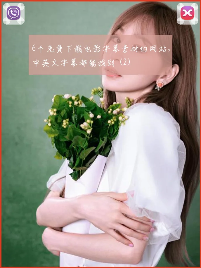6个免费下载电影字幕素材的网站，中英文字幕都能找到 (2)