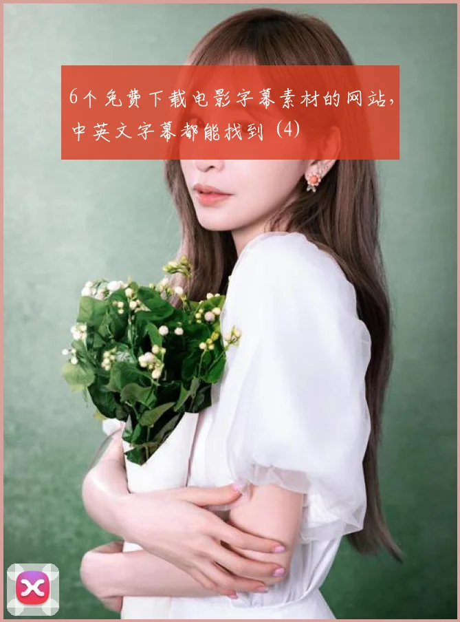 6个免费下载电影字幕素材的网站，中英文字幕都能找到 (4)