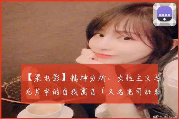 【杲电影】精神分析、女性主义与毛片中的自我寓言(又名老司机看片指南)