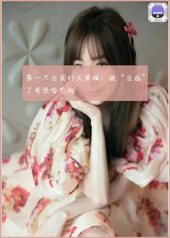 第一只出国的大熊猫,被“当成”了奇怪哈巴狗
