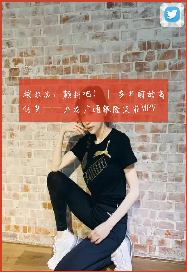 埃尔法，颤抖吧！ 丨 多年前的高仿货——九龙广通银隆艾菲MPV