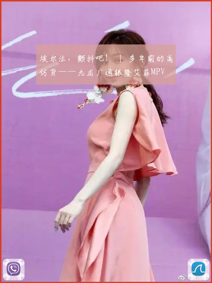 埃尔法，颤抖吧！ 丨 多年前的高仿货——九龙广通银隆艾菲MPV