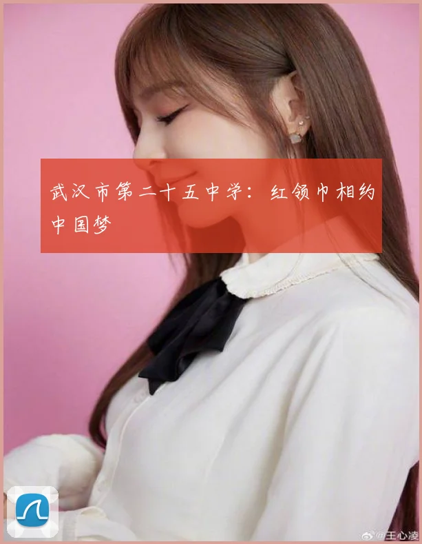 武汉市第二十五中学:红领巾相约中国梦