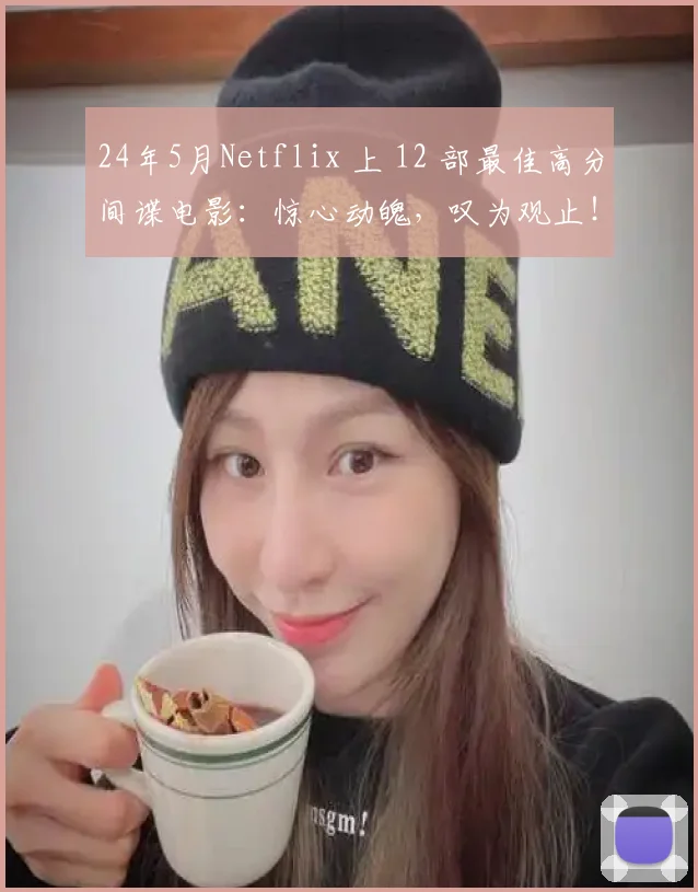 24年5月Netflix 上 12 部最佳高分间谍电影：惊心动魄，叹为观止！