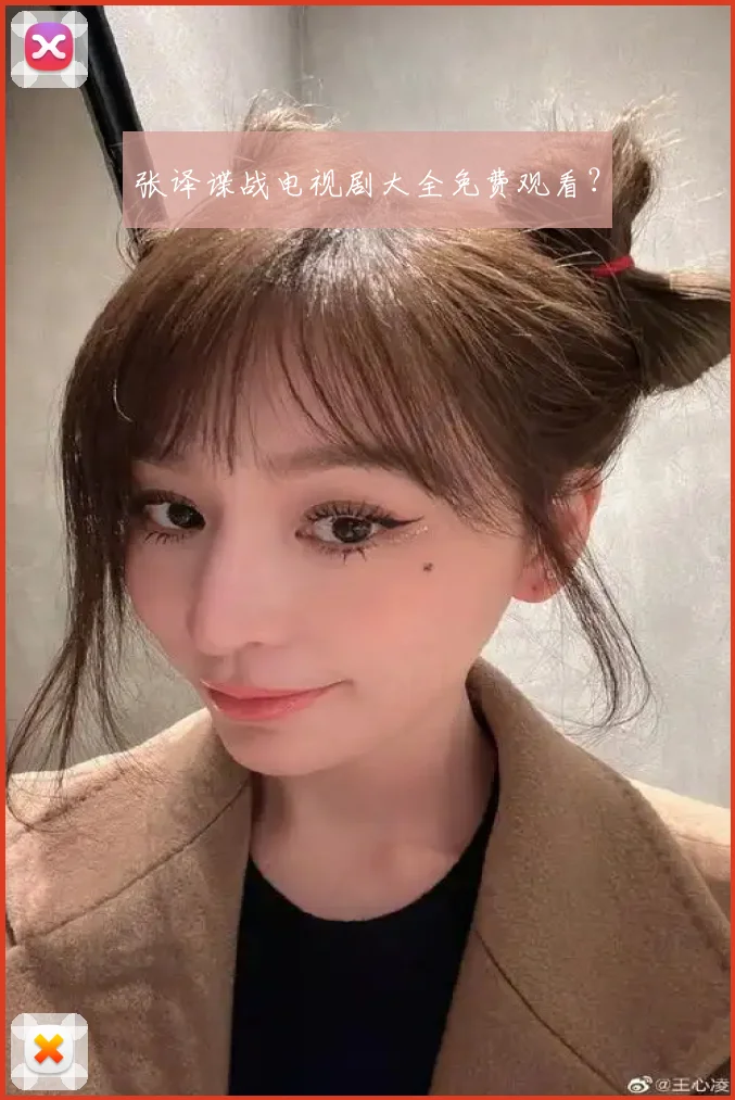 张译谍战电视剧大全免费观看？