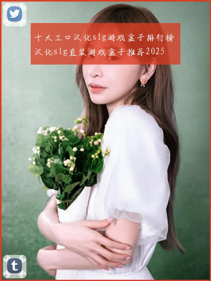 十大工口汉化slg游戏盒子排行榜 汉化slg直装游戏盒子推荐2025