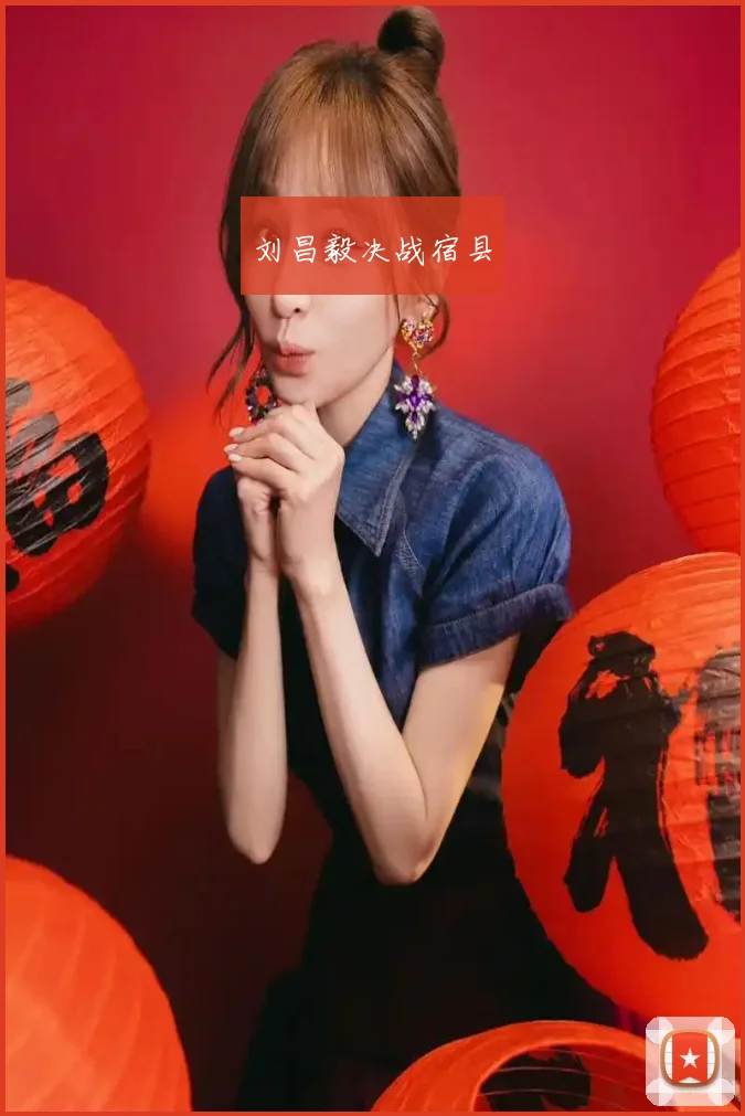 刘昌毅决战宿县
