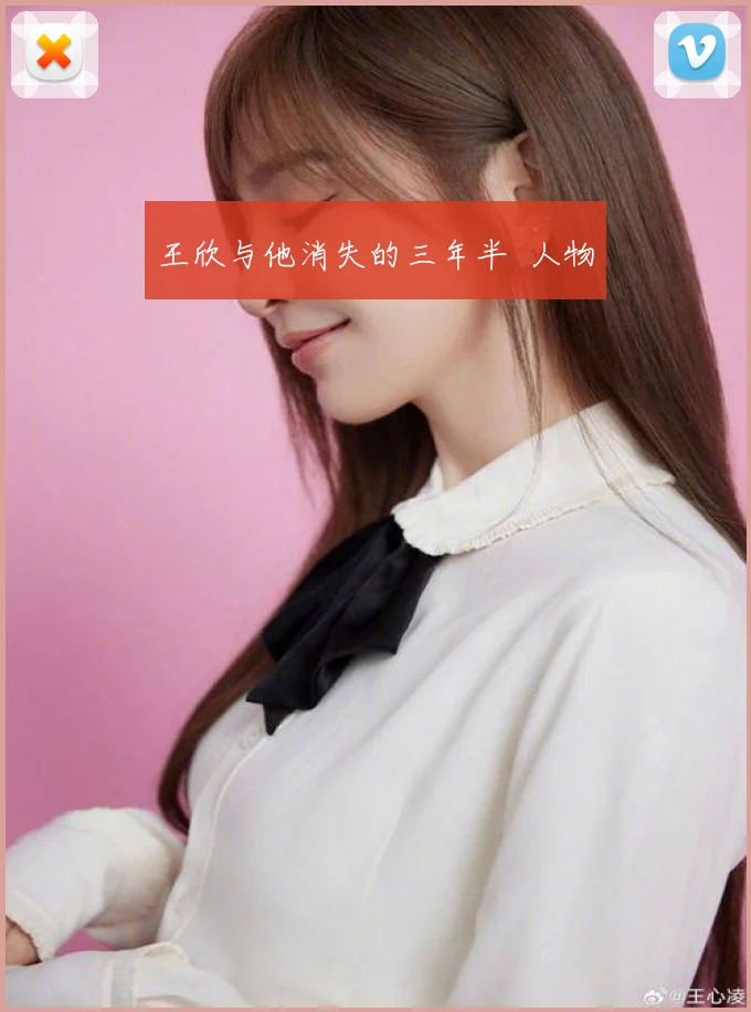 王欣与他消失的三年半 人物