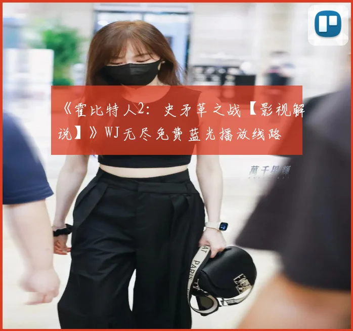《霍比特人2：史矛革之战【影视解说】》WJ无尽免费蓝光播放线路