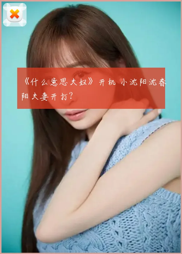 《什么意思夫妇》开机 小沈阳沈春阳夫妻开打?